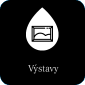 Výstavy